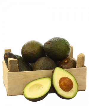 Avocado Hass Biologici di Sicilia 1Kg